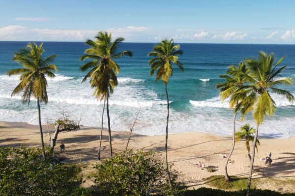 pexels-osvaldo-diaz-91519751-9146254